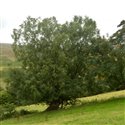 View full size