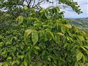 View full size