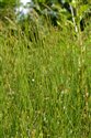 View full size