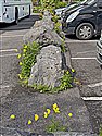 View full size