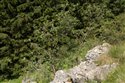 View full size