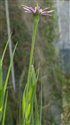 View full size